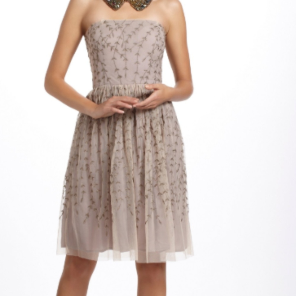 Anthropologie Project Alabama Boston Ivy Dress
